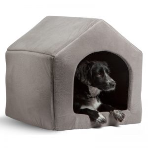 Luxury Dog's House